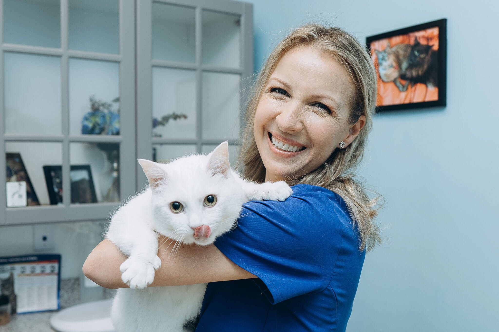 Pet Wellness & Preventive Care In Marietta Ga