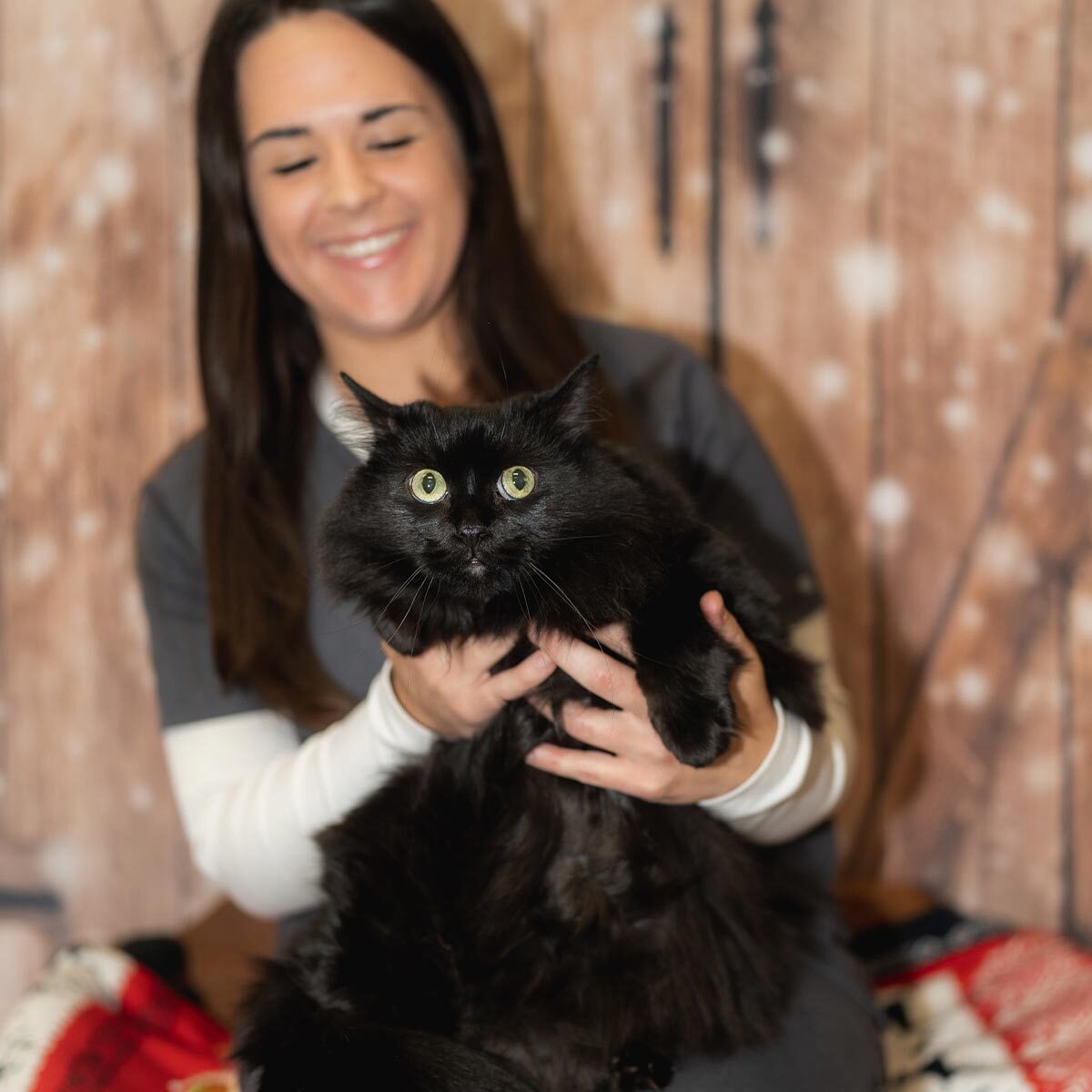 Close Up Of Staff Member Holding Out Black Cat