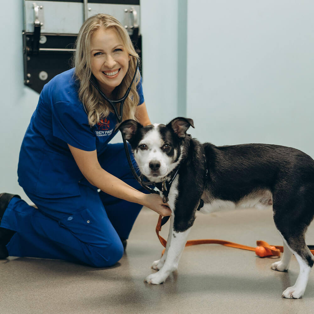 Doctor With Dog